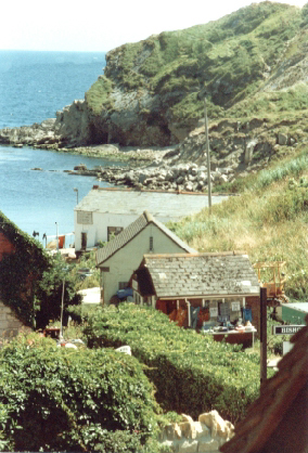 View of the Cove