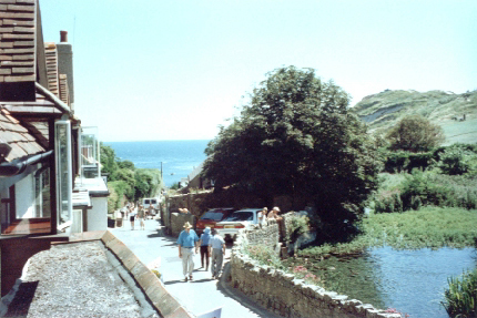 View of the Cove looking down from the Mill House